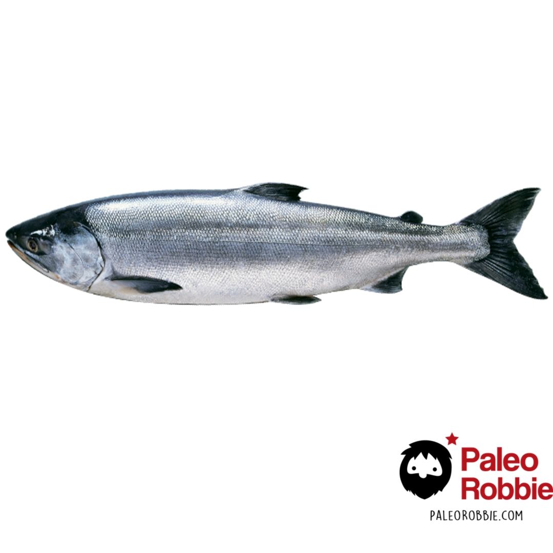 Wild Alaskan Salmon Trimmings Grade B